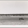 Planting beans with a tractor. Pie Town, New Mexico