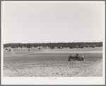 Planting beans with a tractor. Pie Town, New Mexico