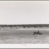 Planting beans with a tractor. Pie Town, New Mexico