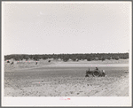 Planting beans with a tractor. Pie Town, New Mexico