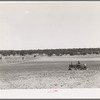 Planting beans with a tractor. Pie Town, New Mexico
