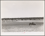 Planting beans with a tractor. Pie Town, New Mexico