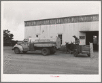 Homesteader in his burro-drawn cart at the filling station. Pie Town, New Mexico