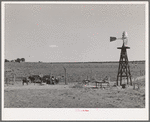 Beef cattle and windmill on farm of George Hutton. Pie Town, New Mexico