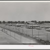 Poultry yard and houses at the Arizona part-time farms. Maricopa County, Arizona