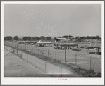 Poultry yard and houses at the Arizona part-time farms. Maricopa County, Arizona