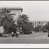 Noon hour at the Phoenix Union High School. Phoenix, Arizona
