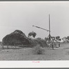 Putting up hay on farm in Maricopa County, Arizona