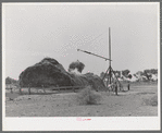 Putting up hay on farm in Maricopa County, Arizona