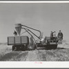 Combined hay picker-upper and chopper developed by members of the Casa Grande Valley Farms, Pinal County, Arizona, with the aid of Mr. Walton, FSA (Farm Security Administration) regional farm supervisor