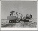 Combined hay picker-upper and chopper developed by members of the Casa Grande Valley Farms, Pinal County, Arizona, with the aid of Mr. Walton, FSA (Farm Security Administration) regional farm supervisor