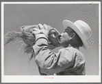 Member of the Casa Grande Valley Farms, Pinal County, Arizona, drinking from water bottle while in the hay field