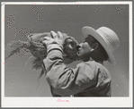 Member of the Casa Grande Valley Farms, Pinal County, Arizona, drinking from water bottle while in the hay field