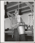 Weighing milk in the Casa Grande Valley Farms. Pinal County, Arizona