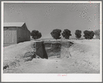 Trench silo for cattle feed at the Casa Grande Valley Farms. Pinal County, Arizona