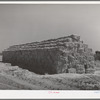 Baled hay for the stock. Casa Grande Valley Farms, Pinal County, Arizona