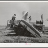 Hay machine at the Casa Grande Valley Farms. Pinal County, Arizona