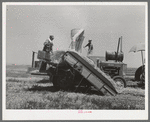 Hay machine at the Casa Grande Valley Farms. Pinal County, Arizona