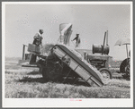 Hay machine at the Casa Grande Valley Farms. Pinal County, Arizona