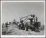 Hay machine at the Casa Grande Valley Farms. Pinal County, Arizona