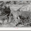 Remains of timber support and tailings of abandoned copper mine at Leopold, New Mexico