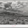 Sagebrush, mountains and clouds in Cochise County, Arizona. This is a typical Arizona scene
