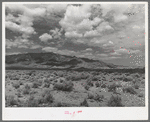 Sagebrush, mountains and clouds in Cochise County, Arizona. This is a typical Arizona scene