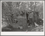 Eugene Davis, gold prospector, coming out of his shack home at his diggings at Pinos Altos, New Mexico