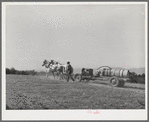 Mormon farmer driving cooperative fruit sprayer to his orchard. Cache County, Utah