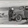 Familiar scene in the desert country of Box Elder County, Utah