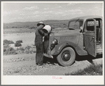 Familiar scene in the desert country of Box Elder County, Utah