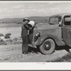 Familiar scene in the desert country of Box Elder County, Utah