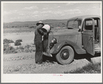 Familiar scene in the desert country of Box Elder County, Utah