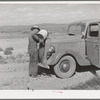 Familiar scene in the desert country of Box Elder County, Utah