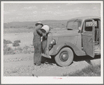 Familiar scene in the desert country of Box Elder County, Utah