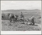 Members of FSA cooperative manure spreader placing manure on farmland. Box Elder County, Utah