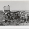 Farmers moving combine. Box Elder County, Utah