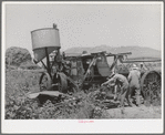 Farmers moving combine. Box Elder County, Utah