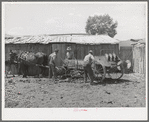 Members of FSA cooperative manure spreader loading the spreader. Box Elder County, Utah