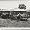 Members of FSA cooperative manure spreader loading the spreader. Box Elder County, Utah