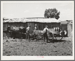 Members of FSA cooperative manure spreader loading the spreader. Box Elder County, Utah