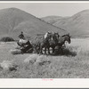 FSA cooperative binder in action. Mantua, Utah