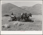FSA cooperative binder in action. Mantua, Utah