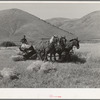 FSA cooperative binder in action. Mantua, Utah