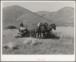 FSA cooperative binder in action. Mantua, Utah