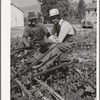 Members of FSA cooperative sugar beet cultivator. Box Elder County, Utah