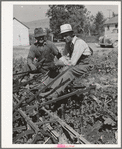 Members of FSA cooperative sugar beet cultivator. Box Elder County, Utah