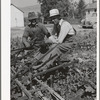 Members of FSA cooperative sugar beet cultivator. Box Elder County, Utah