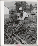 Members of FSA cooperative sugar beet cultivator. Box Elder County, Utah