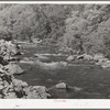 Mountain stream, the Logan River. Cache County, Utah